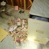 Rat nest in filing cabinet