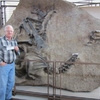 Two Precious Fossils