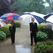 Umbrella Ushers #1